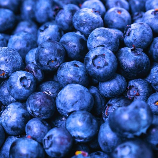 Organic Freeze Dried Wild Blueberry
