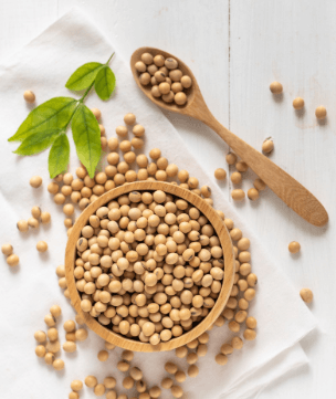 Sojyfib® soy fiber and protein