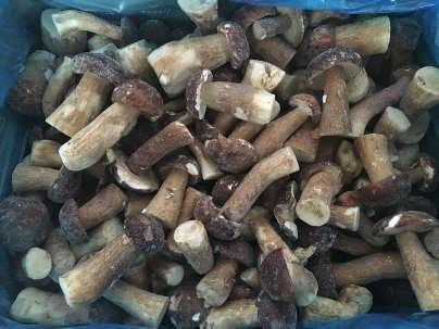 Whole porcini mushrooms small gr.s 30-50 IQF