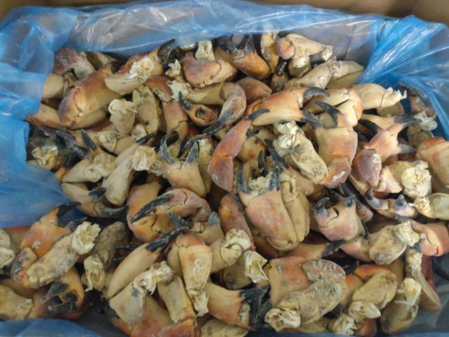 Cooked brown crab claws 8/12 - frozen