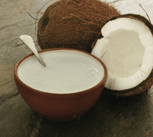 Coconut cream 24% Organic