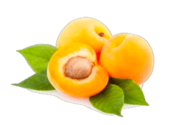 IQF Frozen apricot quarters
