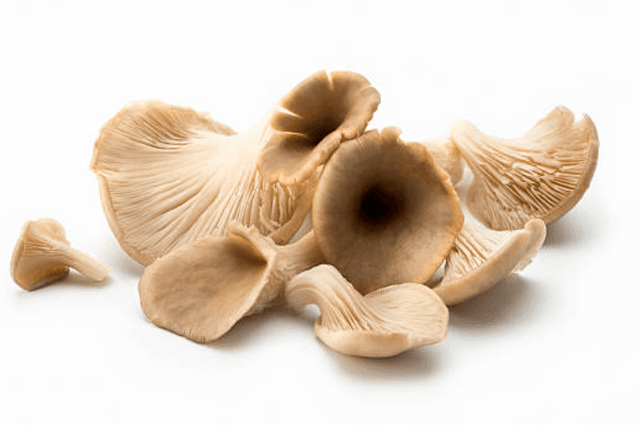  Frozen organic oyster mushrooms and shiitake mushrooms