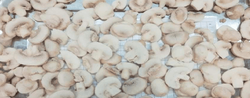 IQF sliced ​​button mushroom