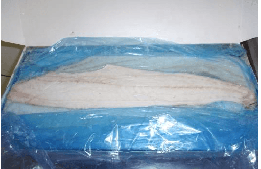 Haddock fillets skin on 3/5 oz - MSC, frozen