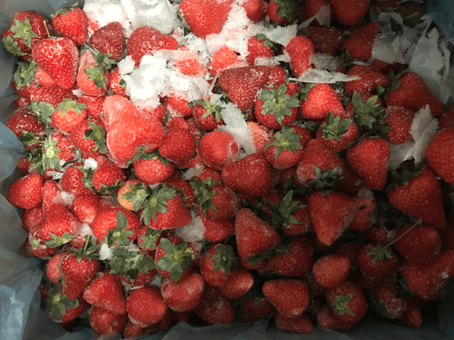 Frozen Organic Strawberry - French origin