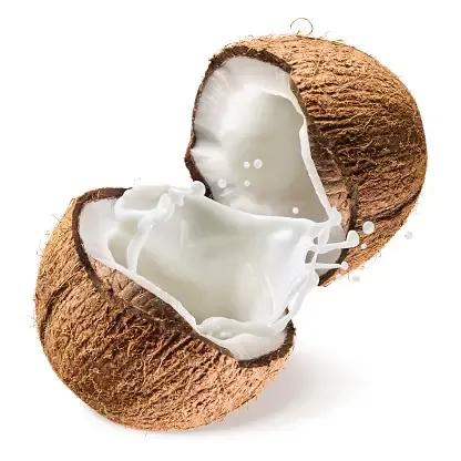 coconut milk 17% MG