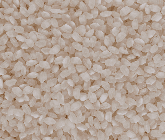 Organic white round rice