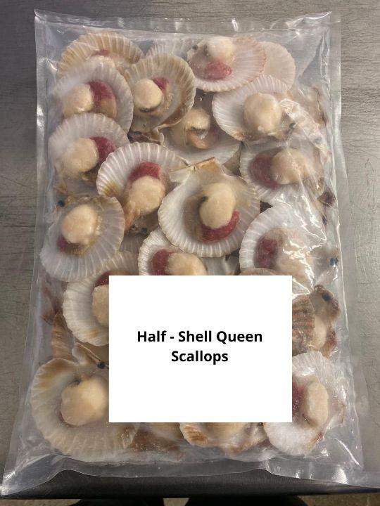 Half shell Queen scallops 30/50, 1kg bag - frozen