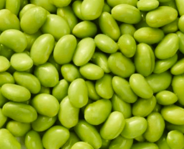 IQF frozen soy bean - Mukiname