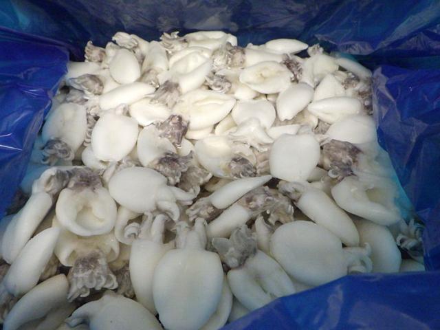 Raw cuttlefish 40/60pcs/kg - frozen