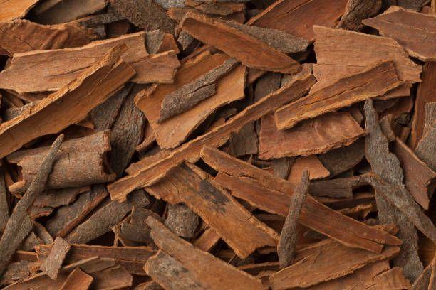 Cinnamon Bark Broken