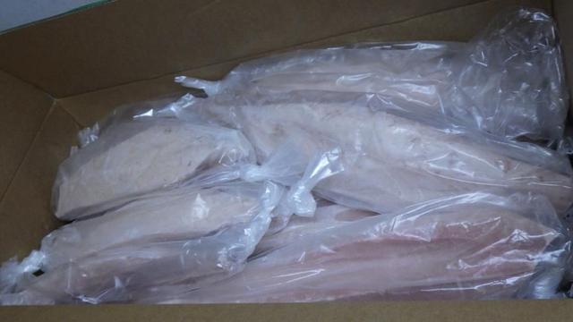 Albacore tuna loin 1-2+ kg (burnt) - MSC, frozen