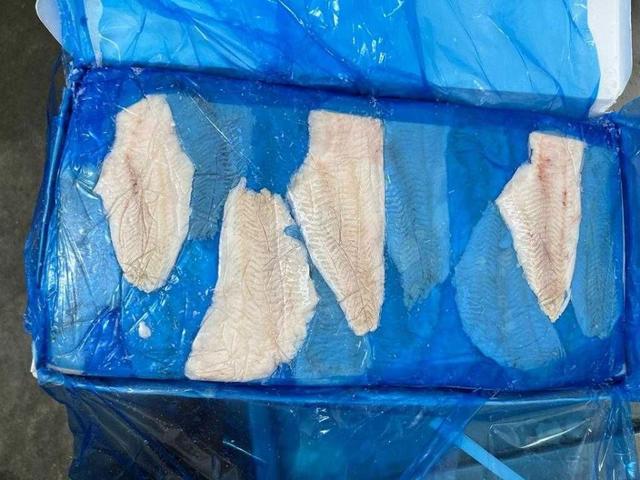 Filets de merlu sans peau 2/4 oz surgelés