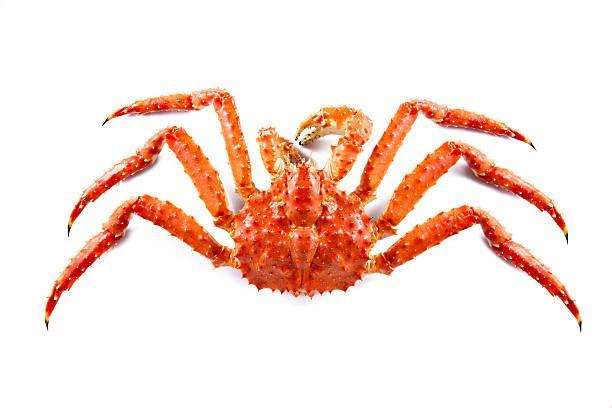 Crabe Royal en conserve PNE 120g