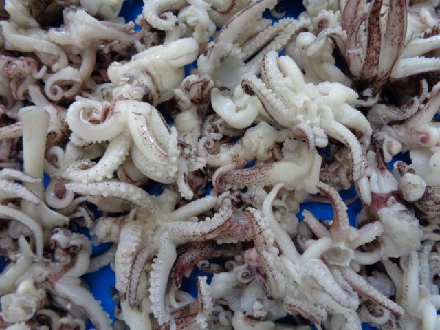 Têtes et pattes de calamar blanchi surgelées