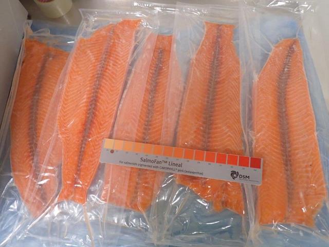 Filets de saumon Trim E, 700/1000g, IVP, surgelés